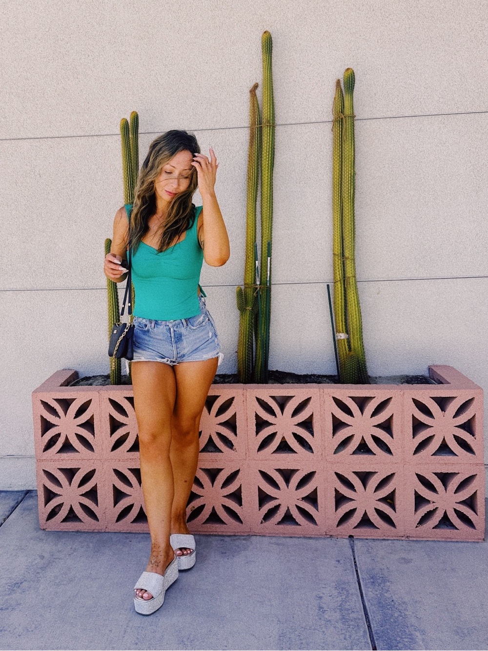 Agolde Parker Denim Shorts in Color Swapmeet